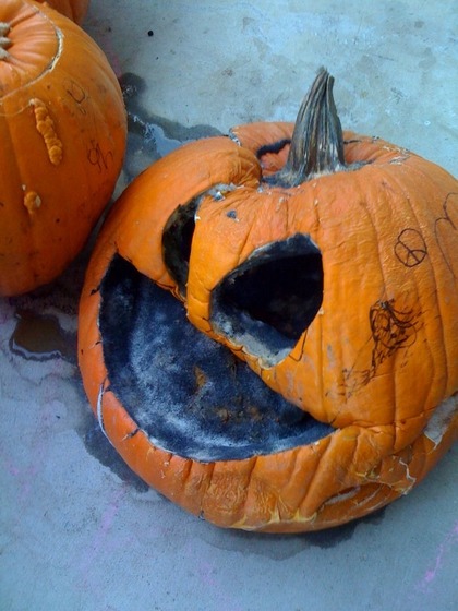 melted pumpkin 2009.jpg